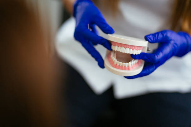 Best Pediatric Dentistry  in Indian Rocks Beach, FL