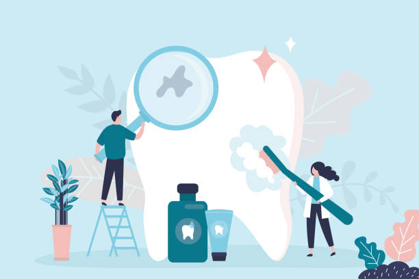 Why Choose Us for Your Dental Needs in Indian Rocks Beach, FL